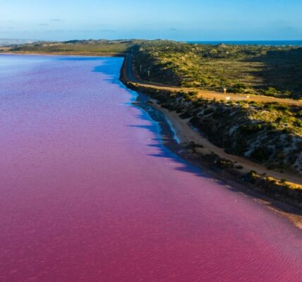 Hutt Lagoon's pink water viewed from the air